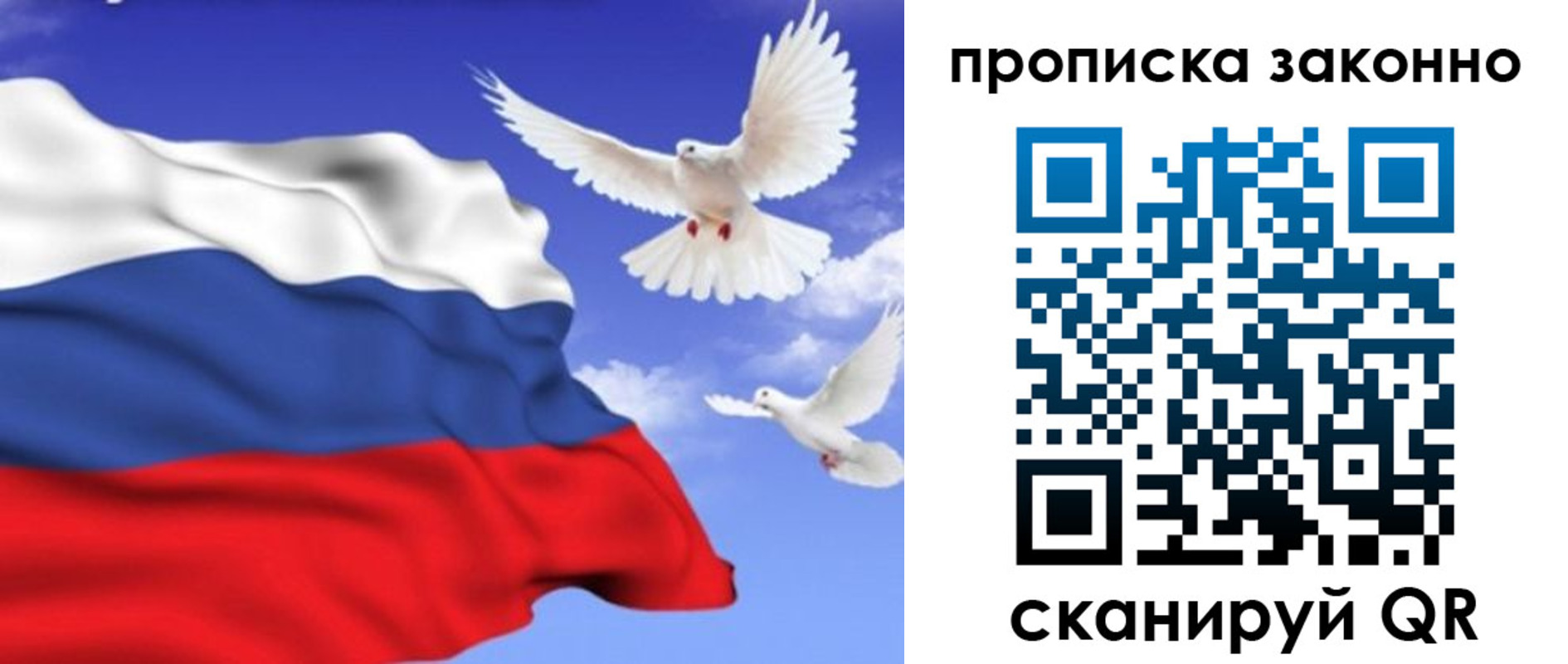 прописка в Заволжске